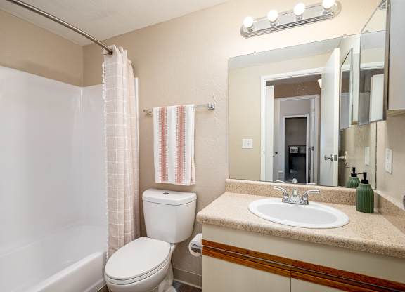 a bathroom with a sink toilet and a mirror