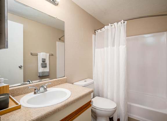a bathroom with a sink and a toilet and a shower