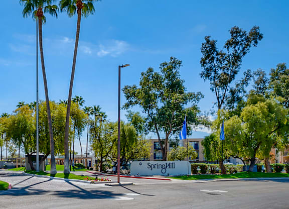 a street with palm trees in front of a building