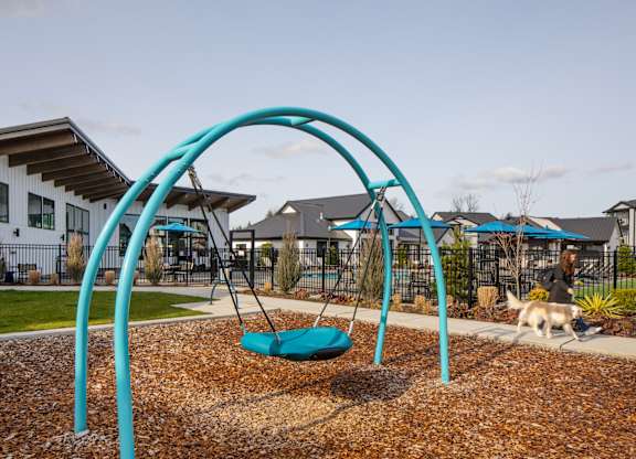 playground swing set
