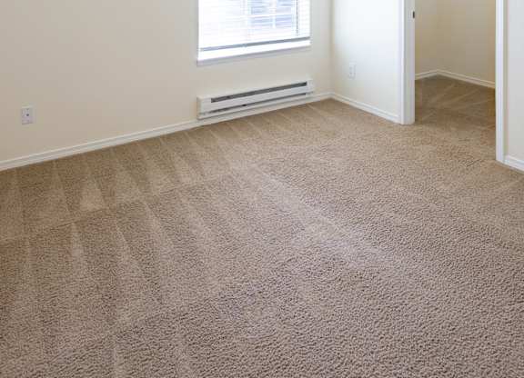 a bedroom with a large window and carpeted flooring