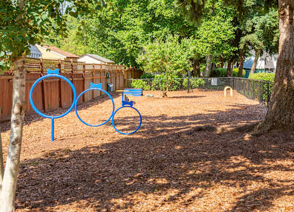 A playground with a blue circle drawn on the ground.