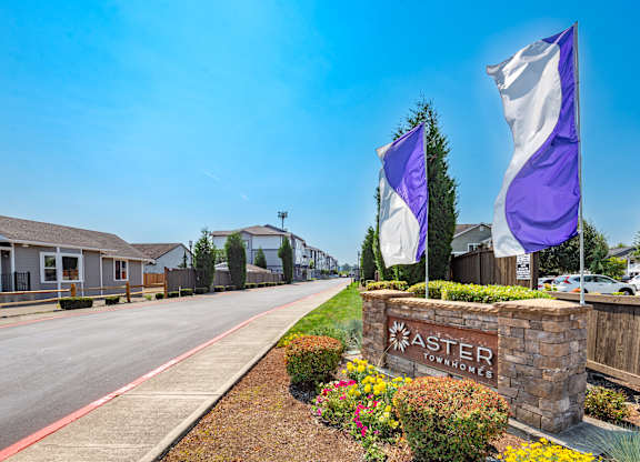 a street with a sign and flags in front of houses