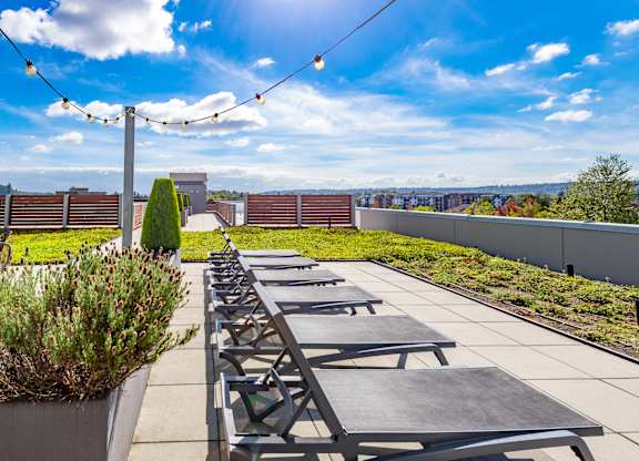 A sunny day at a rooftop with benches and a view of the city.