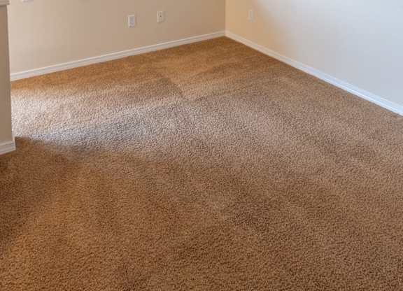 A room with brown carpet and white walls.