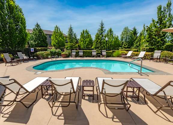 A pool surrounded by chairs and trees.