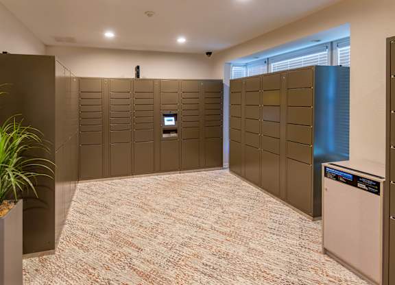 A room with a carpeted floor and a wall of lockers.