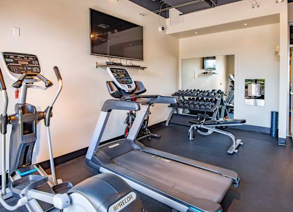 A gym with treadmills, elliptical machines and dumbbells.