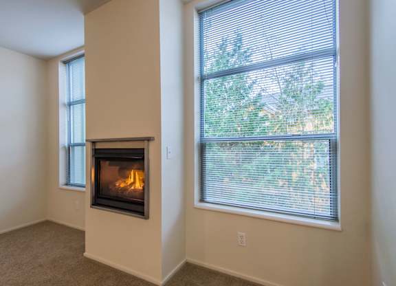 fireplace details