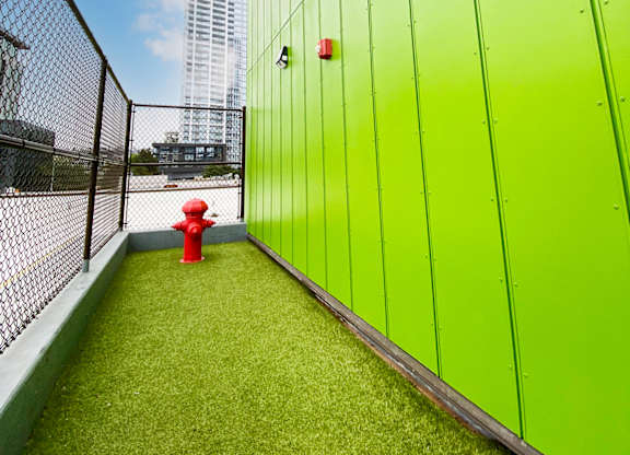 boxcar dog run