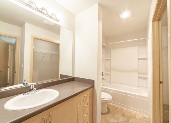 a bathroom with a sink and a toilet