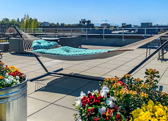 Beryl apartments Seattle - incredible rooftop deck