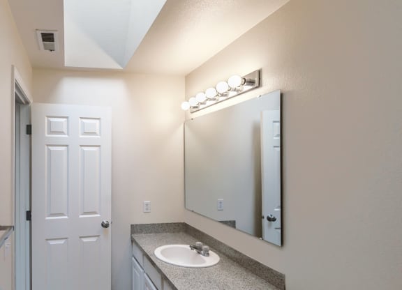 a bathroom with a sink and a mirror and a toilet