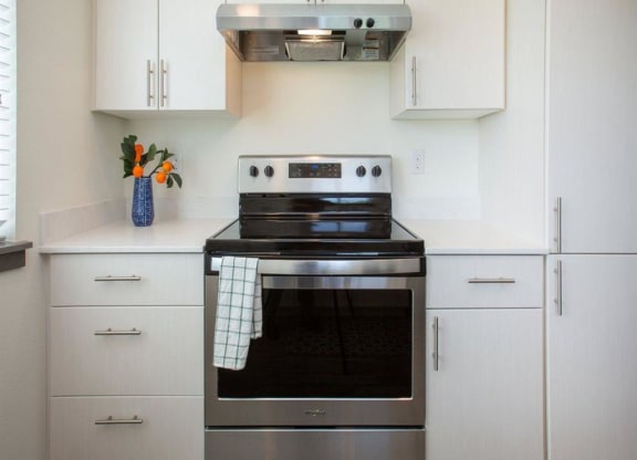 light finishes with stainless appliances
