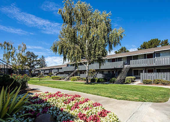 A building with a tree in front of it at Cherrywood Apartments, San Jose, 95118
