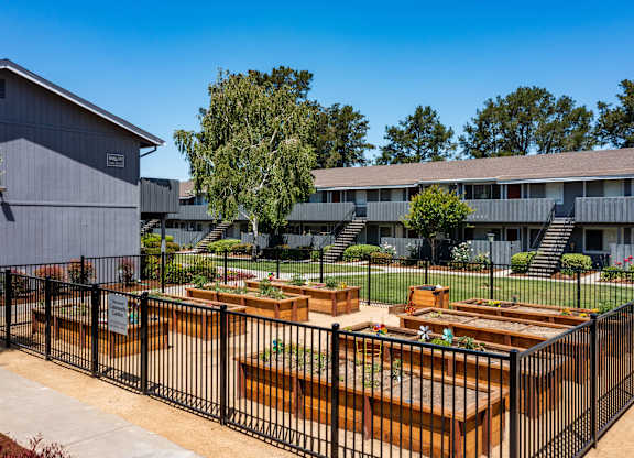 A black fence surrounds a garden with raised beds at Cherrywood Apartments, San Jose