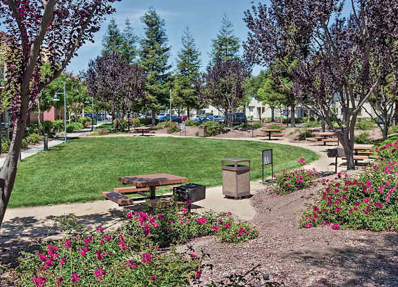 A park with a bench and a tree with purple flowers at The Woods Apartments, California, 95136