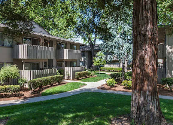 A tree-lined pathway leads to apartment buildings at The Woods Apartments, California