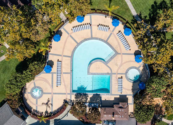 An aerial view of a pool surrounded by trees.