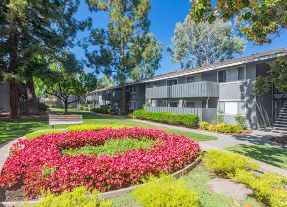 A garden with a lot of flowers in the foreground and a building in the background at Cherrywood Apartments, California, 95118