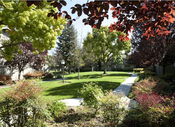 A tree with red leaves is in the foreground of a sunny park at Cherrywood Apartments, San Jose, California