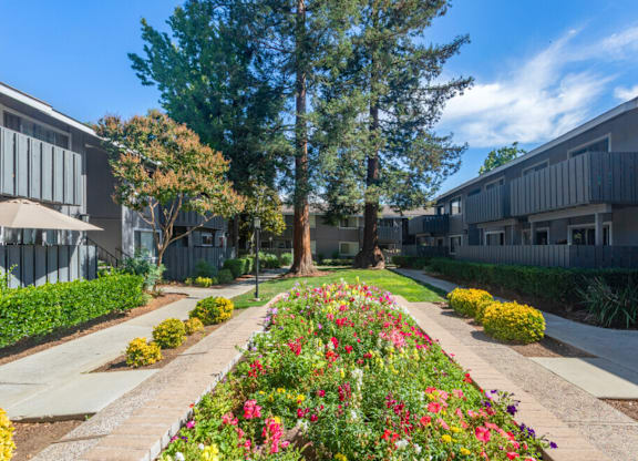 A long row of flowers in the middle of a sidewalk at Cherrywood Apartments, San Jose, 95118