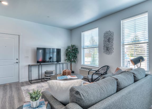 a living room with a gray couch and a tv