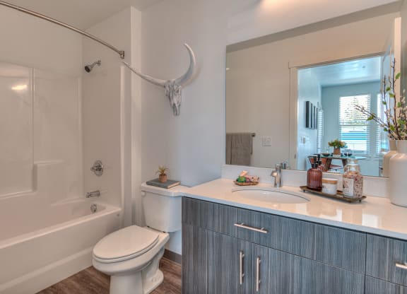 a bathroom with a sink toilet and a shower