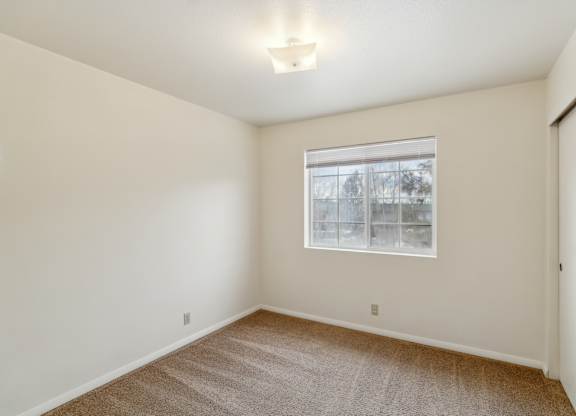 A room with a carpeted floor and a window.