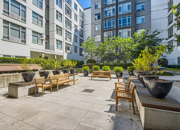 an outdoor patio with benches and trees in front of an apartment building