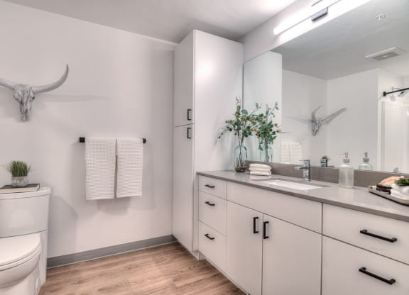 a bathroom with a toilet and a sink and a mirror
