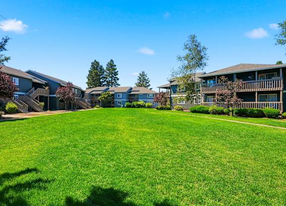 A sunny day at a grassy park with apartment buildings in the background.