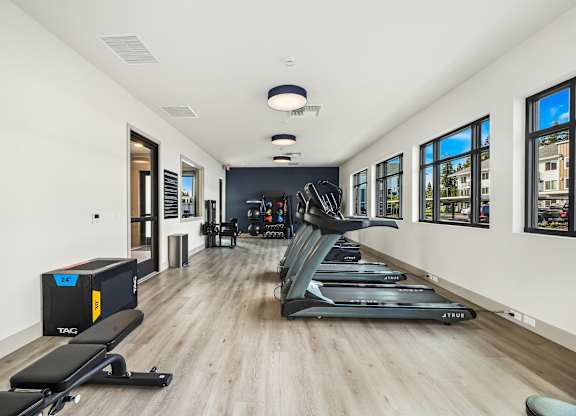 A gym with treadmills, weights, and exercise equipment.