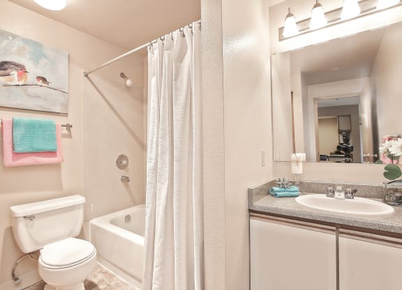 a bathroom with a shower toilet and sink and a mirror