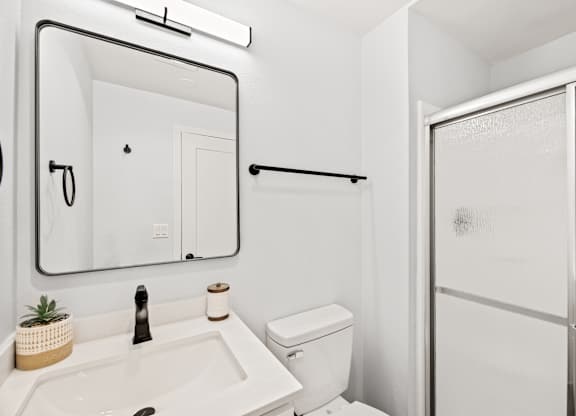 a bathroom with a sink and a mirror and a shower