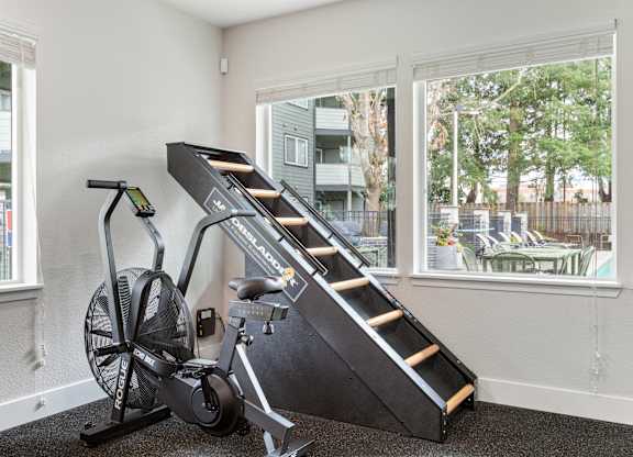 A room with a treadmill and a stair climber.