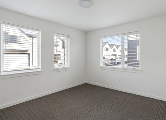 A room with two windows and a carpeted floor.