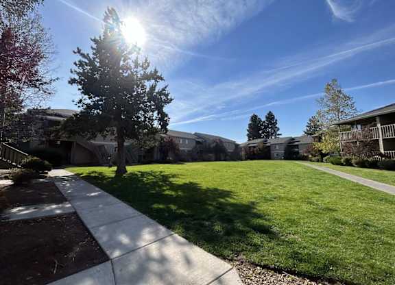 A sunny day in a residential area with houses and green lawns.