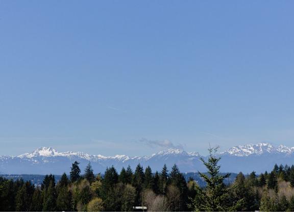 A landscape with a clear blue sky and snow-capped mountains in the distance.