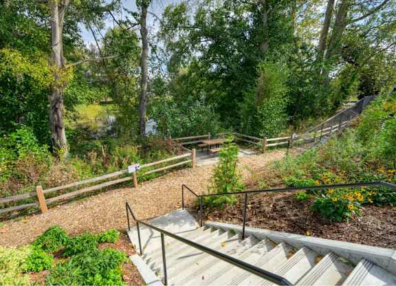 A staircase in a garden leads to a wooden deck.