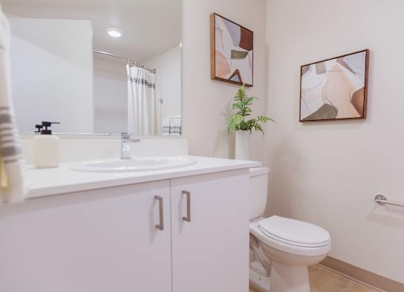 A white toilet sits next to a sink in a bathroom.