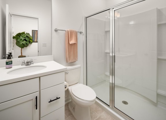a bathroom with a shower and a sink and a toilet