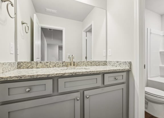 a bathroom with a sink and a toilet and a mirror