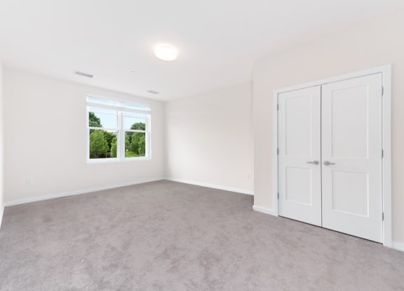 Carpet and closet of bedroom