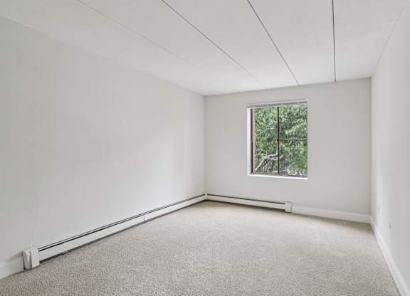 A room with a window and carpeted floor.