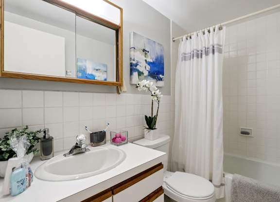 A white bathroom with a white toilet and a white sink.
