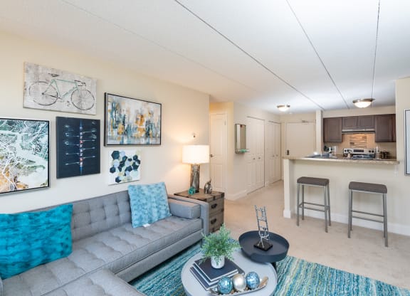 Faxon Commons living Room and Kitchen