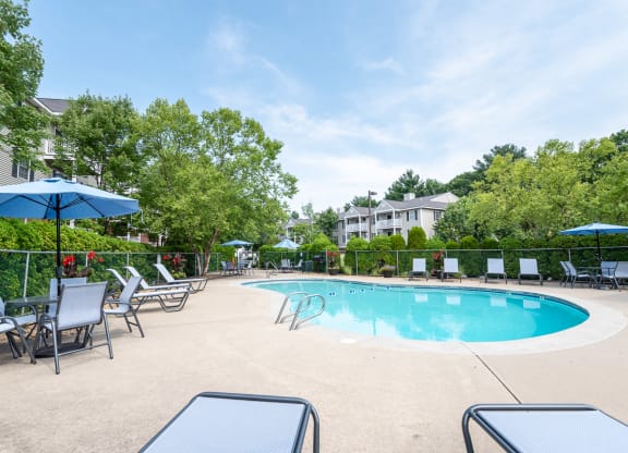 pool deck and folliage