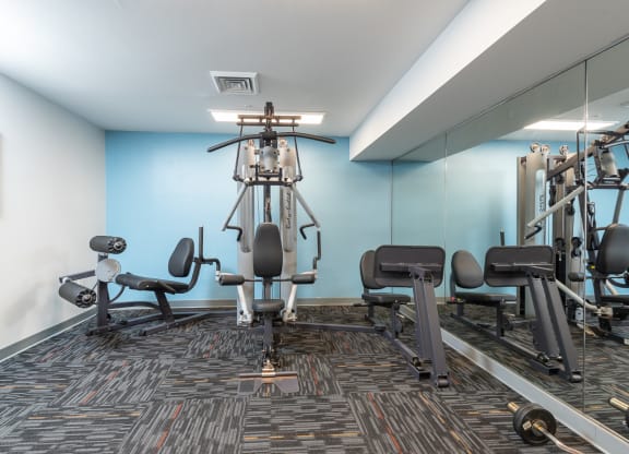 gym cable machine weights