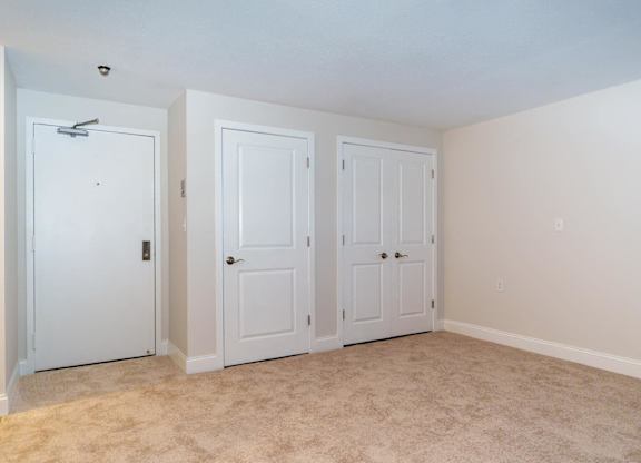a bedroom with three closets and a carpeted floor